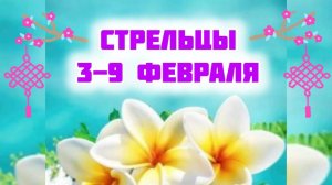 СТРЕЛЬЦЫ. Неделя 3-9 февраля.