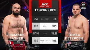 Шамиль Газиев нокаутировал Томаса Петерсена (видео). UFC Fight Night 250. MMA/Единоборства