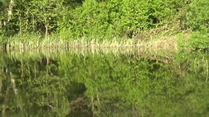 #Дачная жизнь#ч. 5 Прошло 2 недели,никто не был.Всё изменилось на даче.