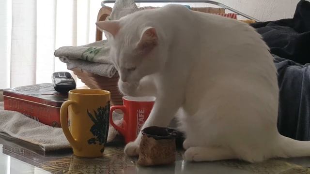 Кот ворует молоко смотреть онлайн