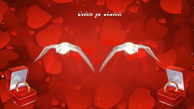 Красивые футажи на день свадьбы смотреть онлайн