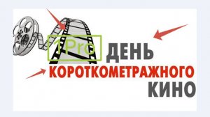 Песик натворил дел и спрятался от хозяев, но есть один нюанс... пес не понял, камера на голове.