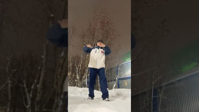 Ицюань (1269 день) Фуань Чжуан / Сюаньфа Шили / Шень Гуй / Саньчжань и Сантин (31.01.25)