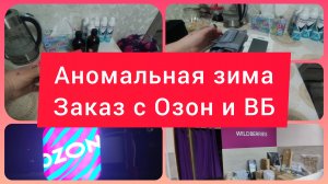 АНОМАЛЬНАЯ ЗИМА. ПЛЫВЁМ ПО ГОРОДУ. ЗАКАЗ С ОЗОН И ВАЙЛДБЕРРИЗ