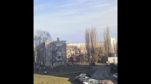Нарезочка животинки от ZD
