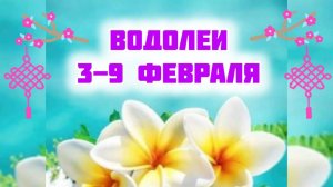 ВОДОЛЕИ. Неделя 3-9 февраля.