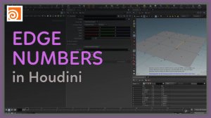 13 Edge Numbers in Houdini