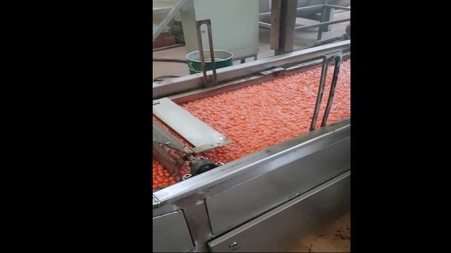 OS - 850 Continuous Fryer Line / OS - 850 непрерывная линия фритюрницы