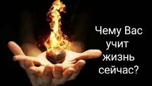 ЧЕМУ ВАС УЧИТ ЖИЗНЬ СЕЙЧАС?