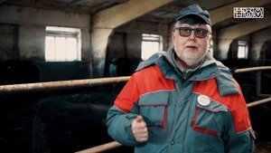 Технология выращивания мясного скота: отъем телят. Часть 2