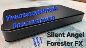 2025.02.01 Components инновационный блок питания Forester FX Silent Angel
