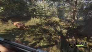 Мир охоты theHunter Call of the Wild # 112