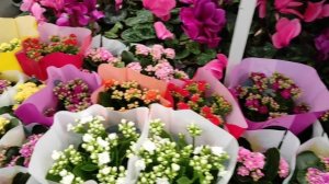 С пустыми руками оттуда выйти нельзя 🌺