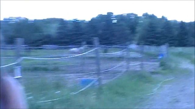 Gus ran away... {LOL at Hannah's laugh} смотреть онлайн