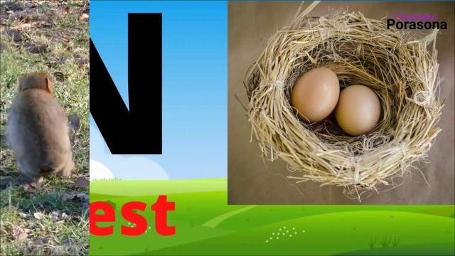 Abcd Alphabets | A for apple,b for ball | Phonics sound with images and videos
