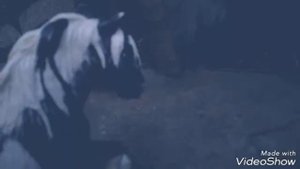 Лошади Schleich. Сериал " Дикие свободные " 2 серия