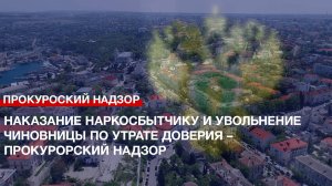 Наказание наркосбытчику и увольнение чиновницы по утрате доверия – прокурорский надзор