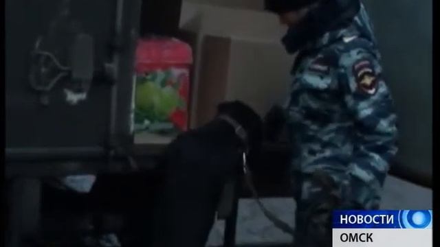 Нелегалы