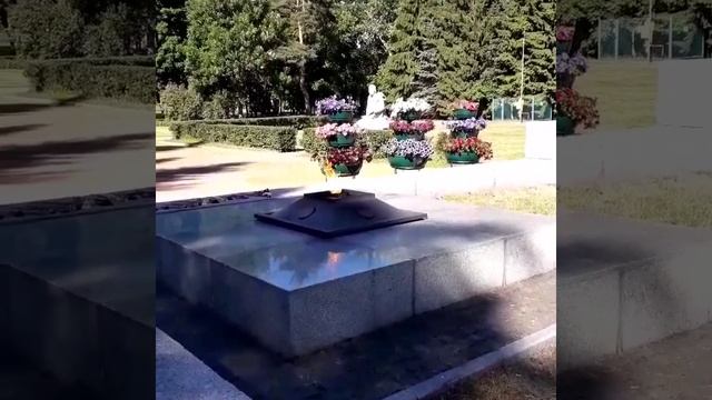 Город Зеленогорск, Курортный район Санкт-Петербурга смотреть онлайн