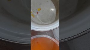 как пропаивать цыплят с первых дней жизни,первые 5 дней.
