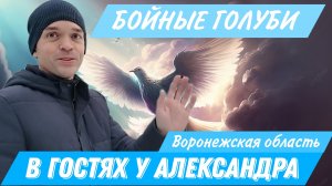 В гостях у Александра. Воронежская область, село Русаново. Разговор о Бойных голубях. Игровые голуби