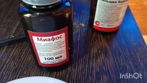 домашний бройлер .#цыплята , вес на 11 день. #Миафос для укрепления скелета.
