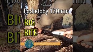 Silky Saw Test: Pocketboy 130mm and Katanaboy 650mm