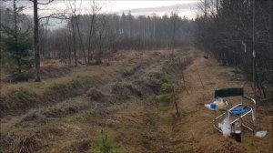 Русские гончие владелец  Цван В. М.