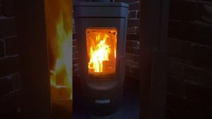 Plamen Tara через 1 год