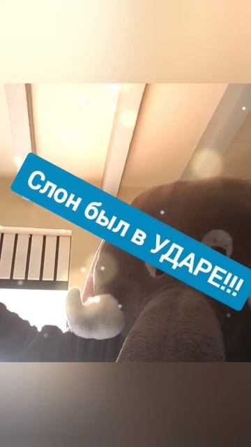 Большой и добрый слон #shorts