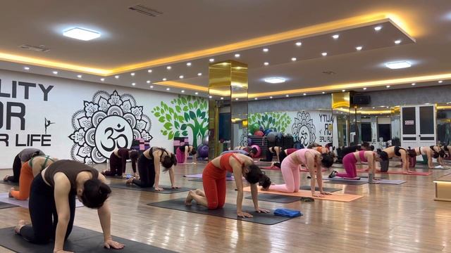 Arm And Core Yoga For Full Body Strength & Weight Lose | Master Ranjeet Singh Bhatia |