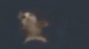 шни шна шнапи шнапи шнишнапи