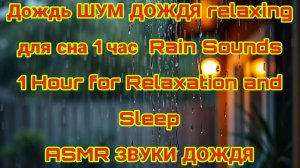 Дождь ШУМ ДОЖДЯ для сна 1 час  Rain Sounds 1 Hour for Relaxation and Sleep ASMR ЗВУКИ ДОЖДЯ RELAXING