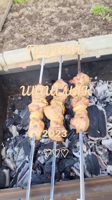 СЕЗОН ОТКРЫТ.Первый шашлык 2023 года.УРА!!! #однавдеревне #шашлык #мясонауглях #природа