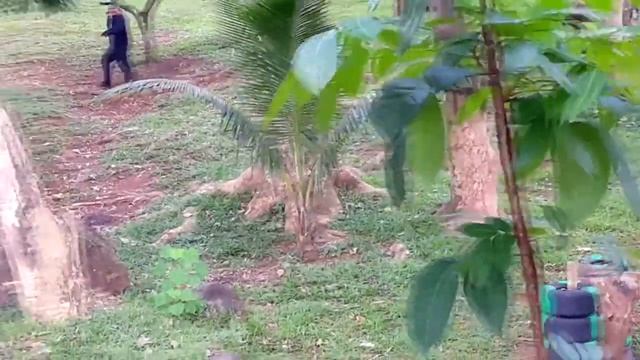 Bakasyunan Resort TANAY-Airsoft field "NOW OPEN"