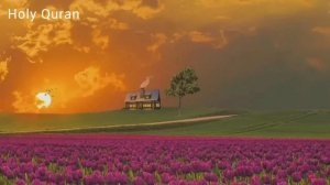 Успокаивающее чтение Корана Сура Ясин Омар Хишам #коран #ясин #йасин