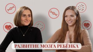 Развитие мозга ребёнка - советы нейропедагога