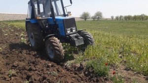 МТЗ 892. Пашет поле 4-х кузовным котаном Афтопилот мтз