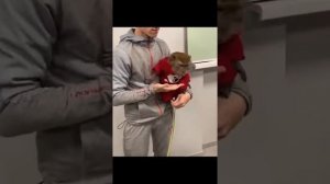 Хасбик против Обезьяны