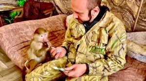 Маня МЕНЯ УДИВИЛА! Ради вкусной пюрешки она сама ко мне подошла и даже дала себя погладить)))