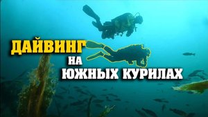 ДАЙВИНГ НА ЮЖНЫХ КУРИЛАХ.