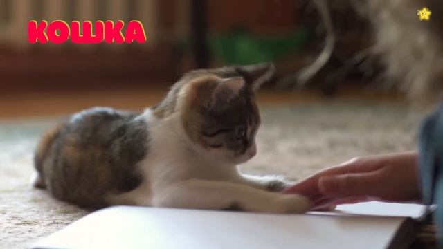 Звуки животных Корова Лошадь Курица Домашние животные Как говорят животные смотреть онлайн