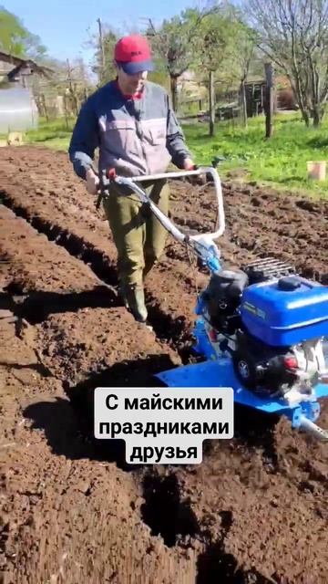 Вспашка земли мотоблоком НЕВА МБ23 ZS МультиАгро #изгородавдеревню #жизньвдеревне #мотоблок