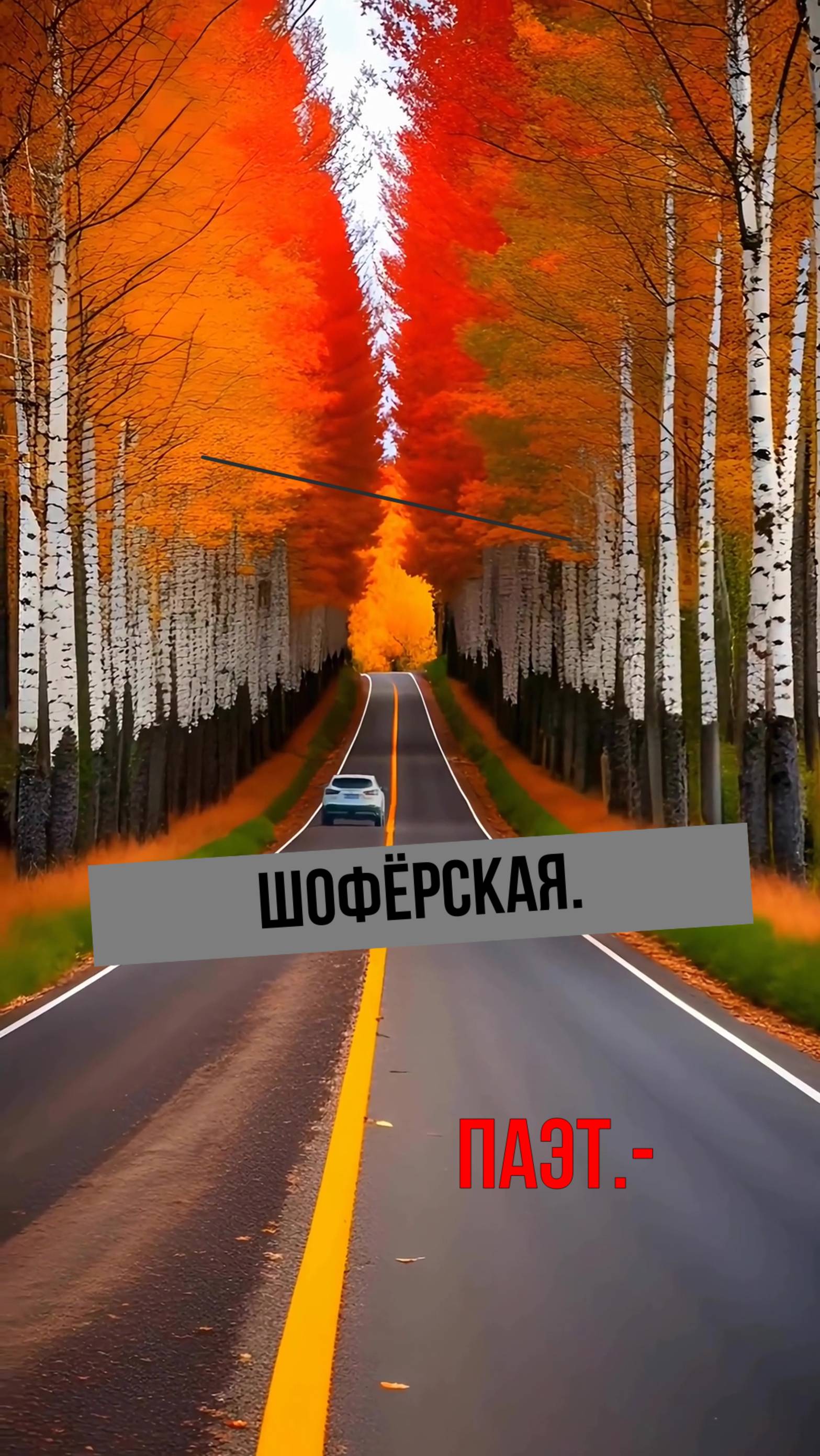 "Шофёрское" Паэт.-