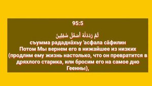 Сура «АТ - ТИН» для Изучения с Мишари Рашид Аль-Афаси (транскрипция, перевод и арабский)