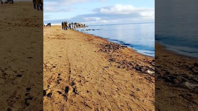 Город Зеленогорск, Курортный район Санкт-Петербурга смотреть онлайн