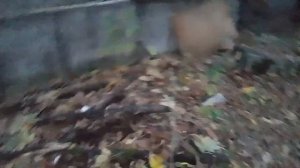 Тегинг на гаражах😱Нас поймали(