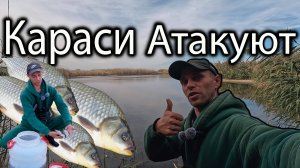 КАРАСИ АТАКУЮТ ТОП РЫБАЛКА НА КАРАСЯ В САРАТОВСКОЙ ОБЛАСТИ 2024 #fishing #рыбалка