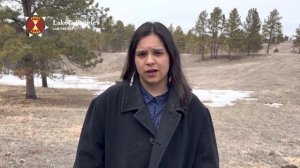Tokata Iron Eyes: The Willow Project