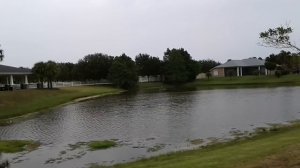 Сельчанка в Америке.Завал